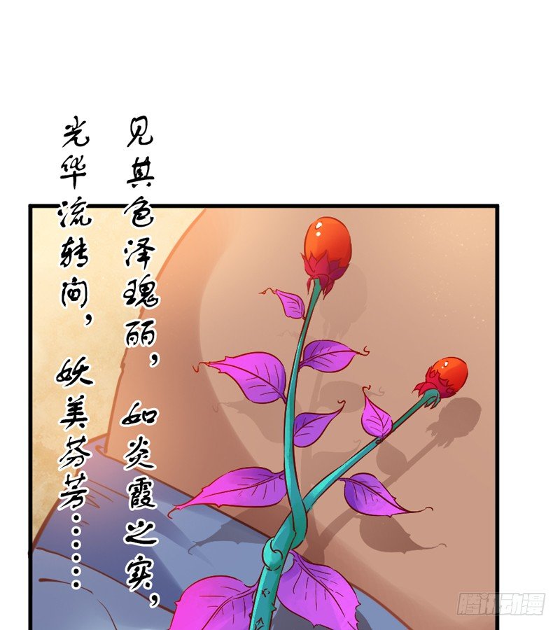 公子小白暖又萌，吾之良配也~35