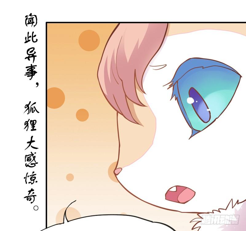 世有小狐瑶瑶，乃吾好逑~10