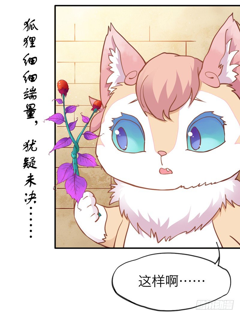 世有小狐瑶瑶，乃吾好逑~17