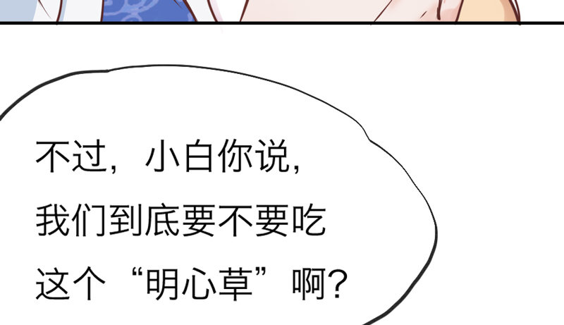 世有小狐瑶瑶，乃吾好逑~41