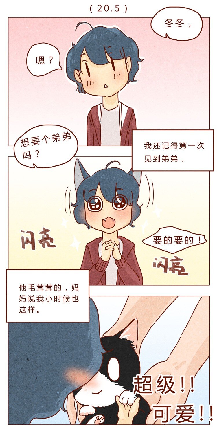 番外 我弟弟超可爱的0