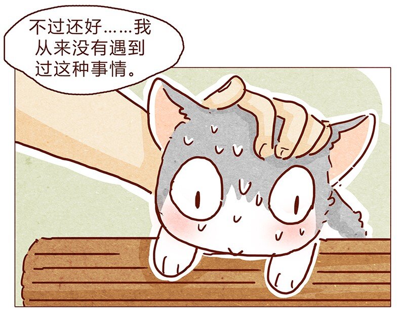 126话 不要怀疑自己的喵生10