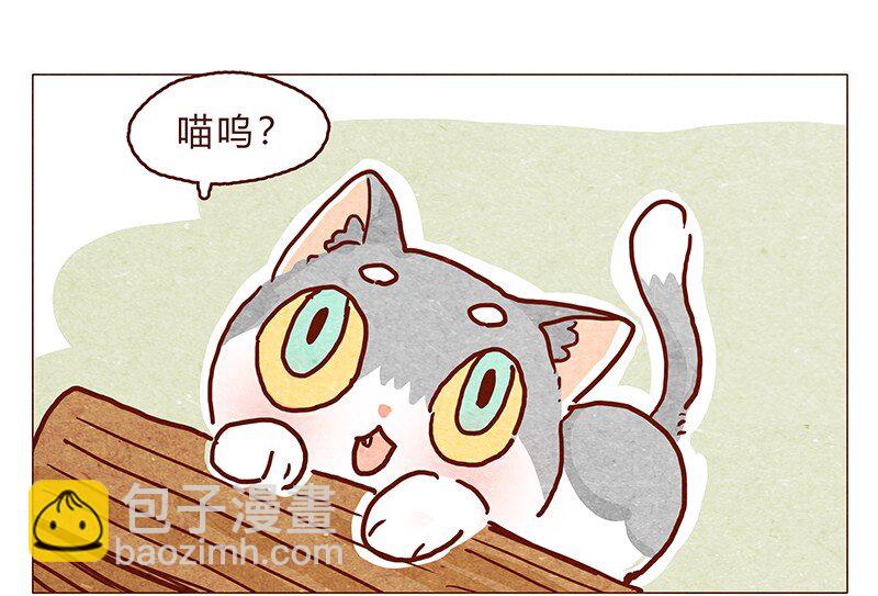 126话 不要怀疑自己的喵生3