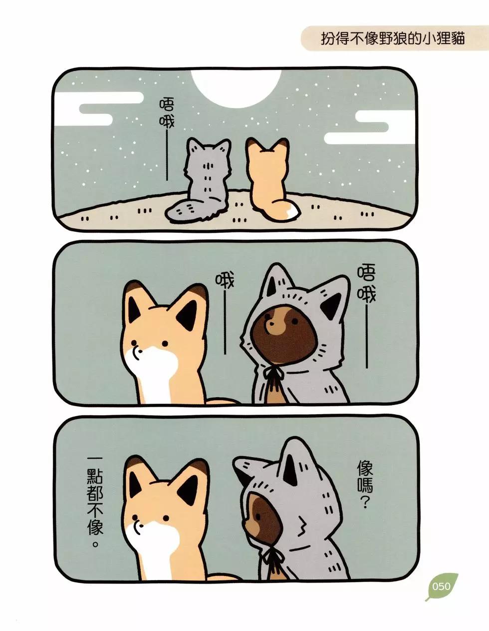 第04卷52