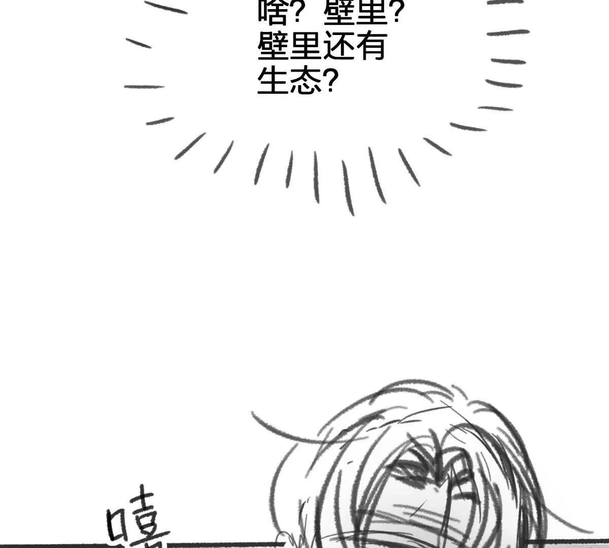 虫洞生态31