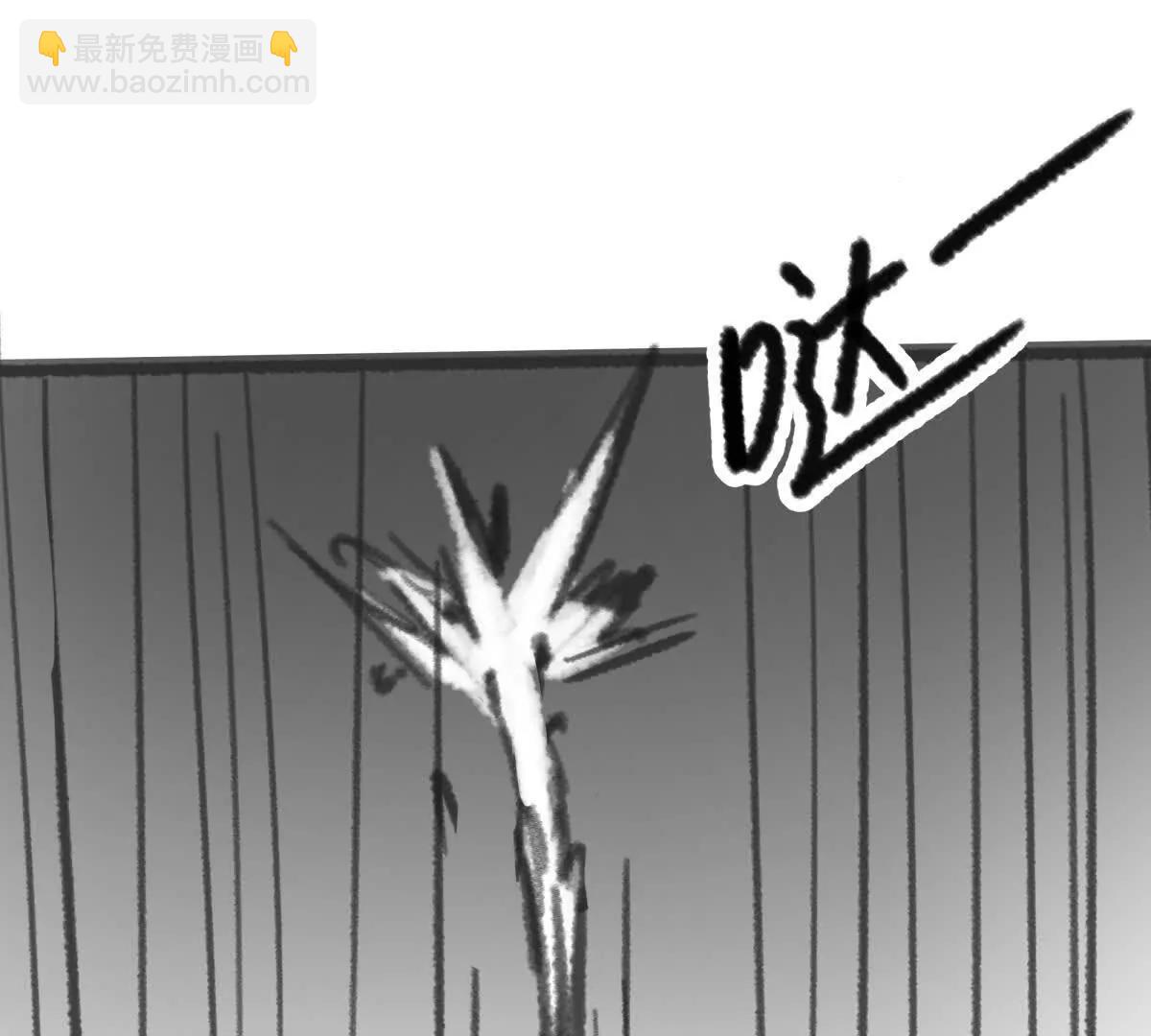 虫洞生态81