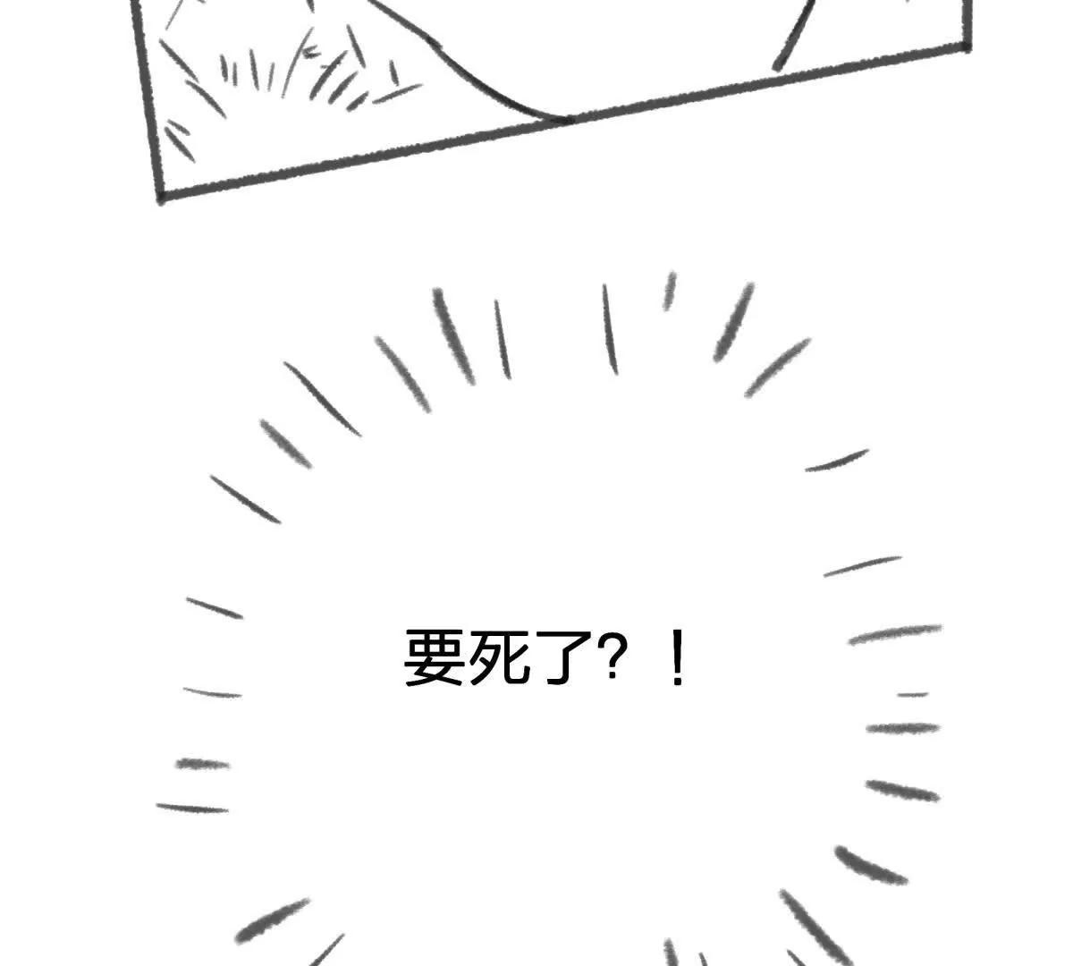 虫洞生态98