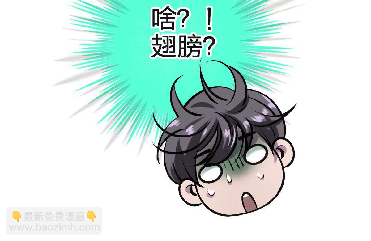 蝶翼45