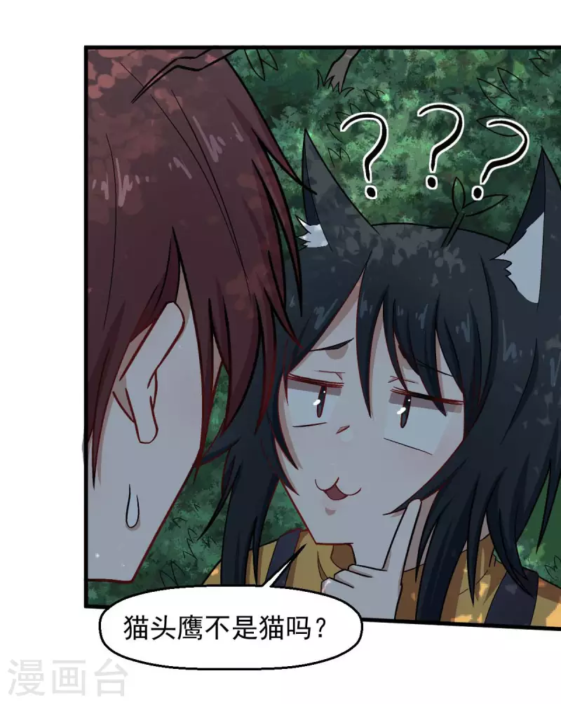 第219话 猫头鹰不是猫系？17