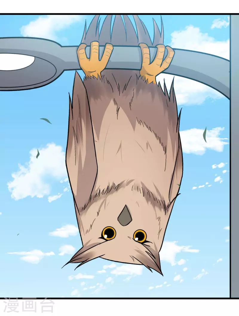 第219话 猫头鹰不是猫系？9