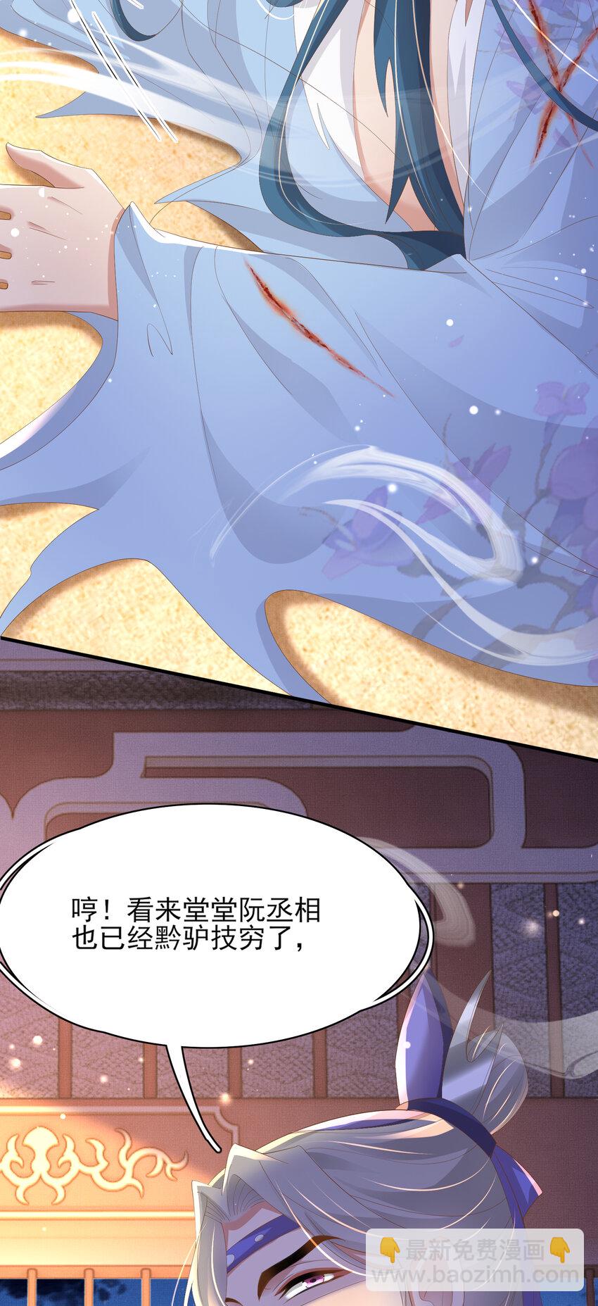 第102话 只能给王妃看12