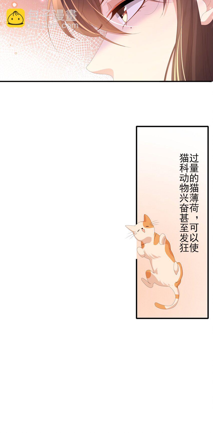 第134话 这个傻瓜3