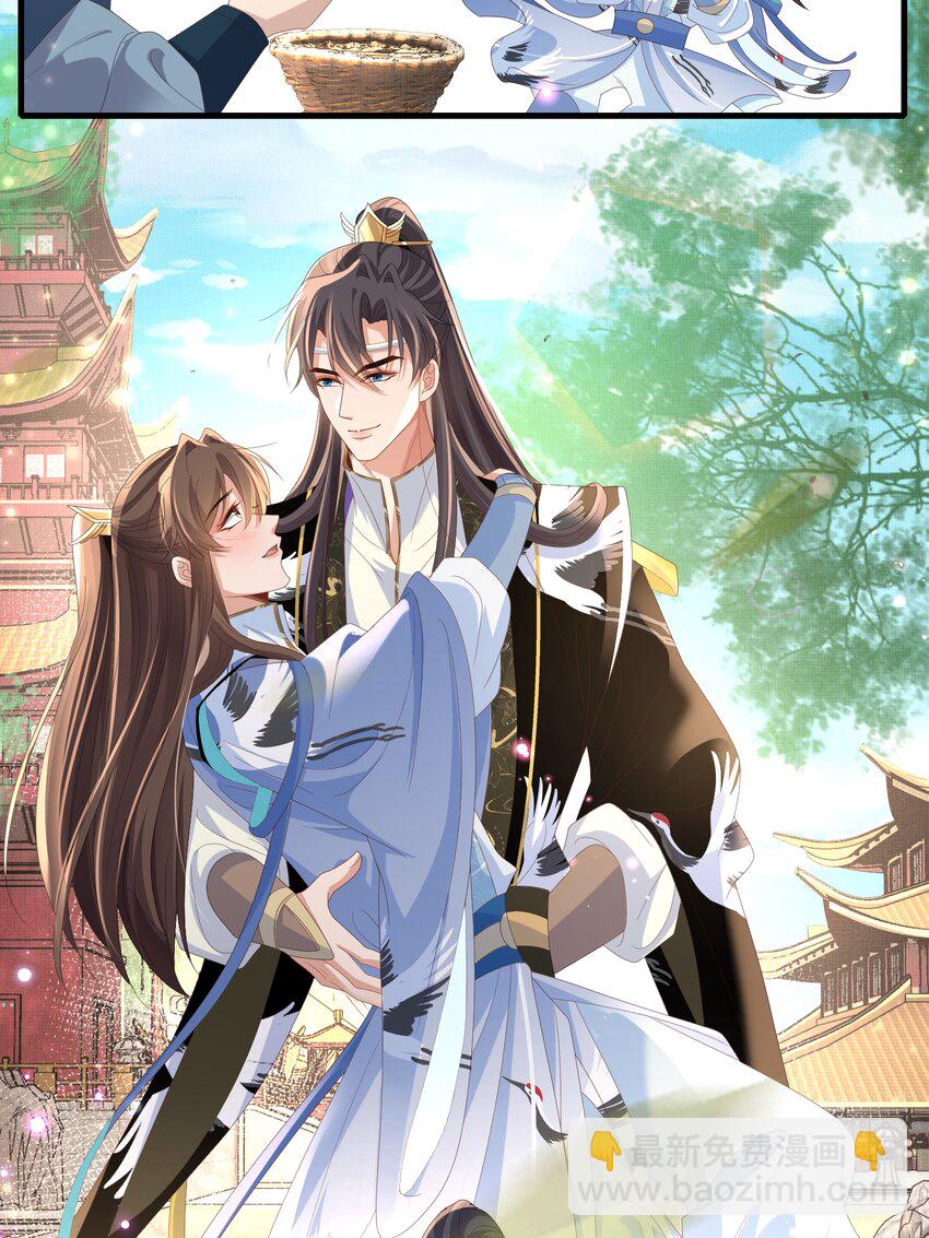 第157话 王妃，你是一个傻瓜16