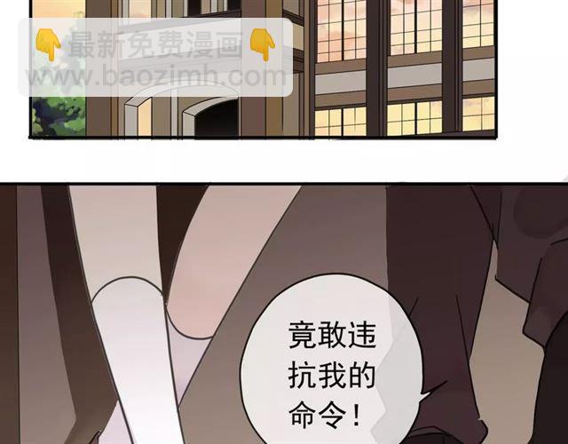 第33话 我是你的什么？41