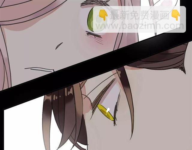第47话 决定！2