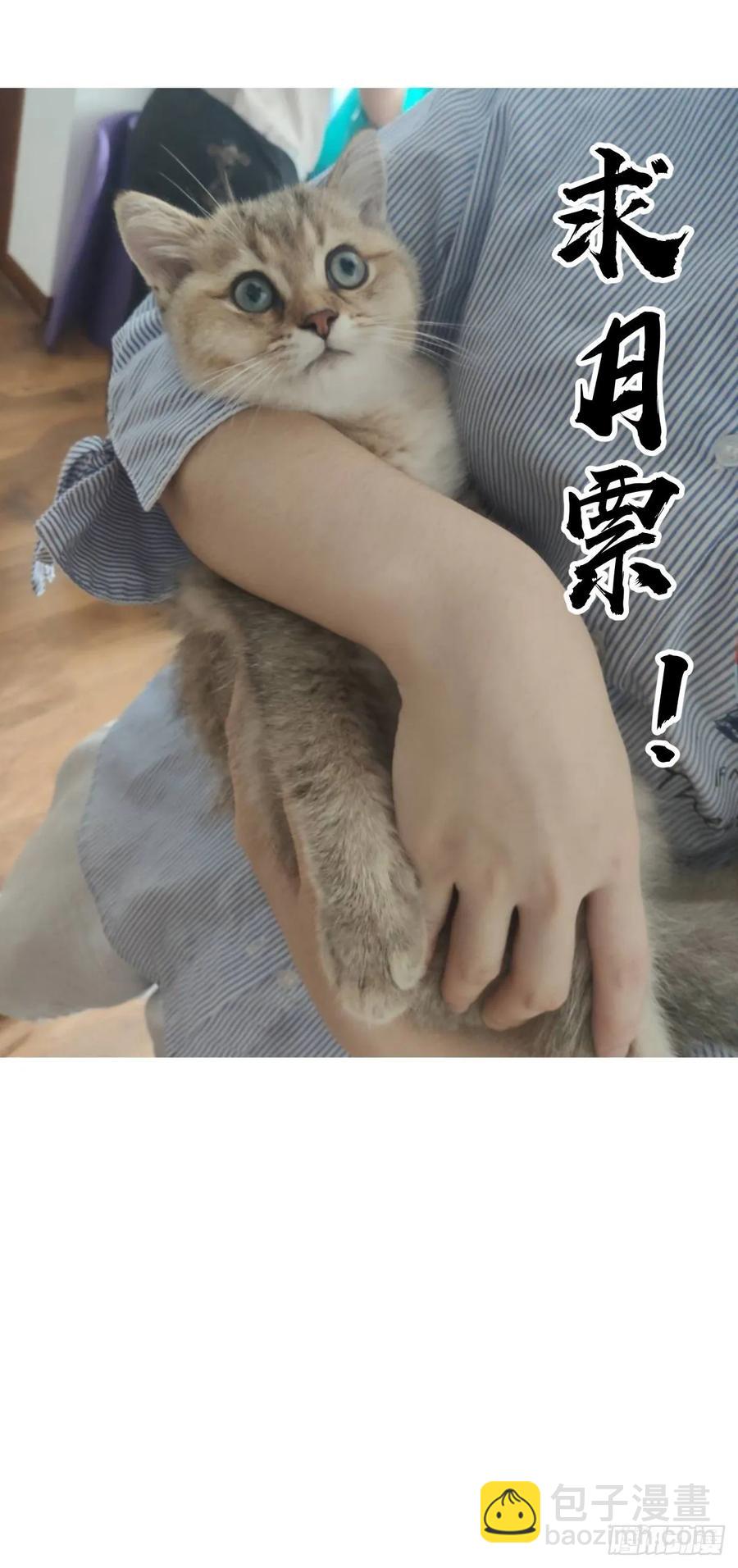 第35话：霸道武魂36