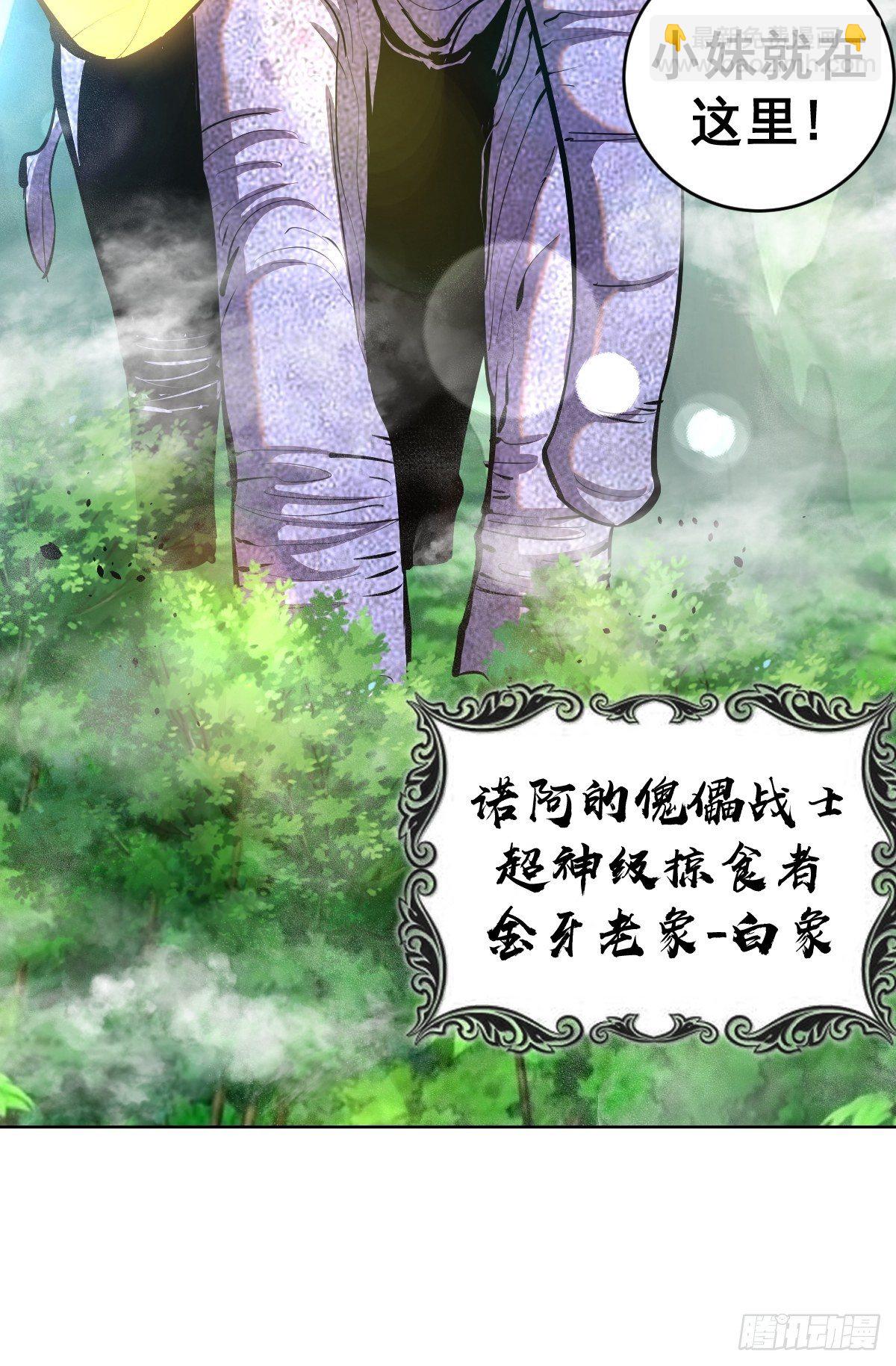 第99话：小白的对手？19