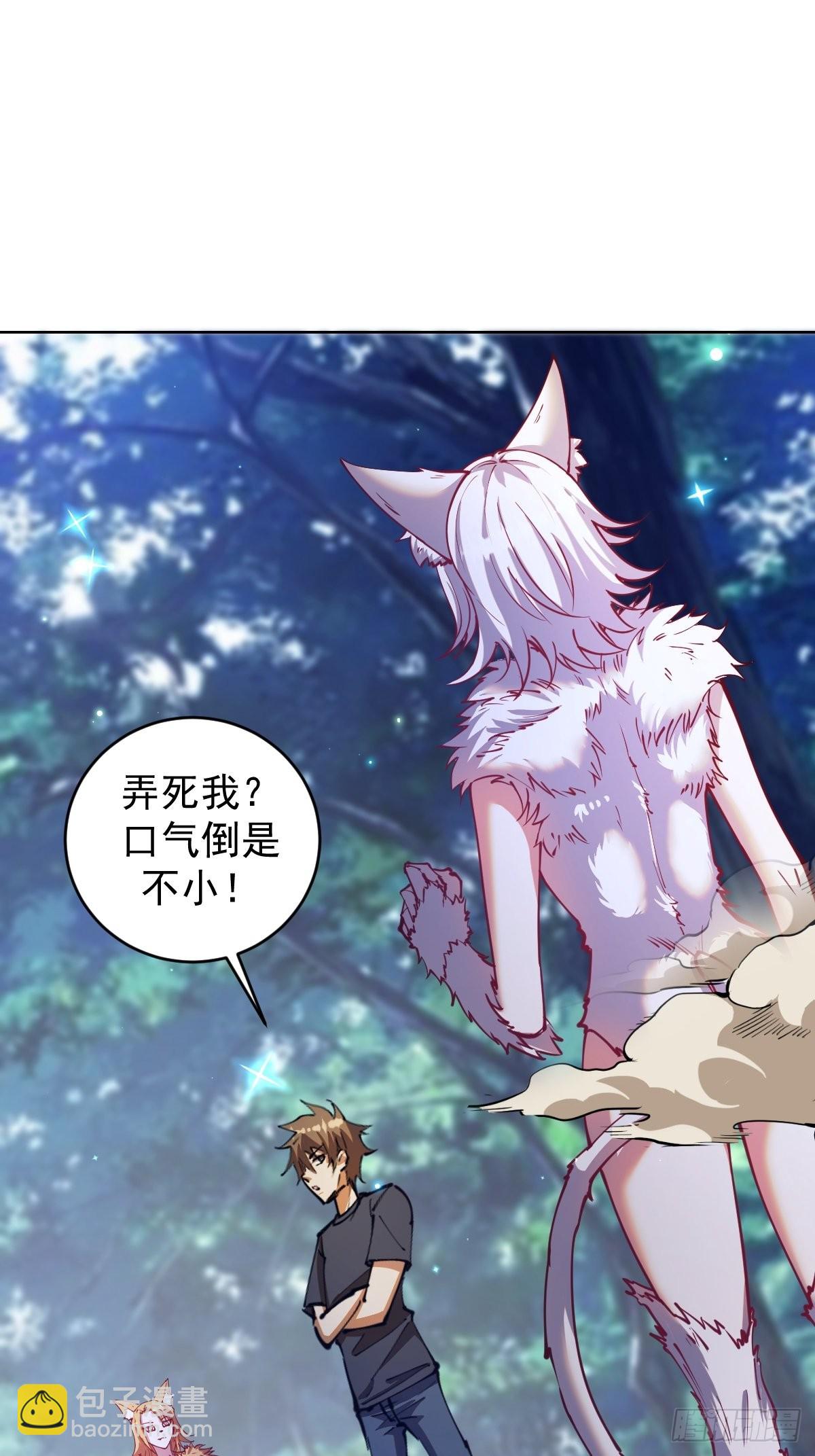 第203话：双生猫妖1