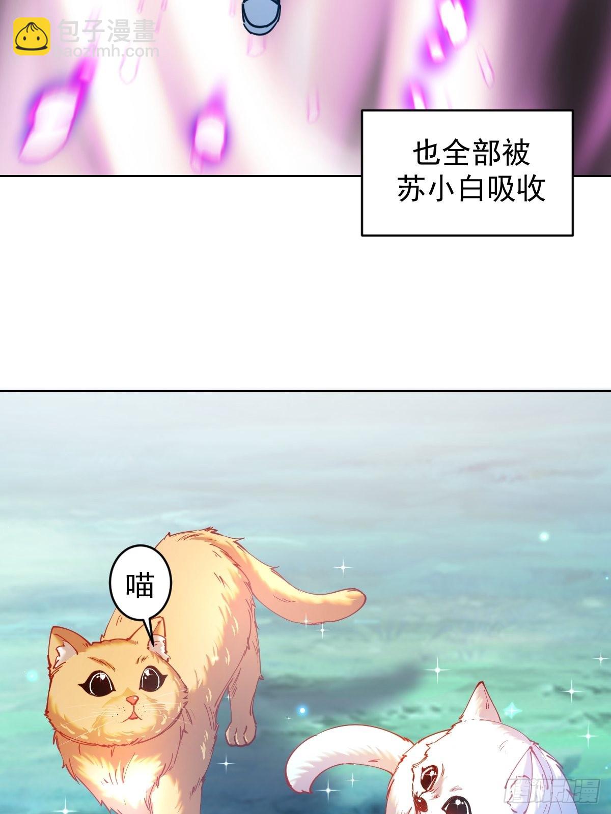 第203话：双生猫妖31