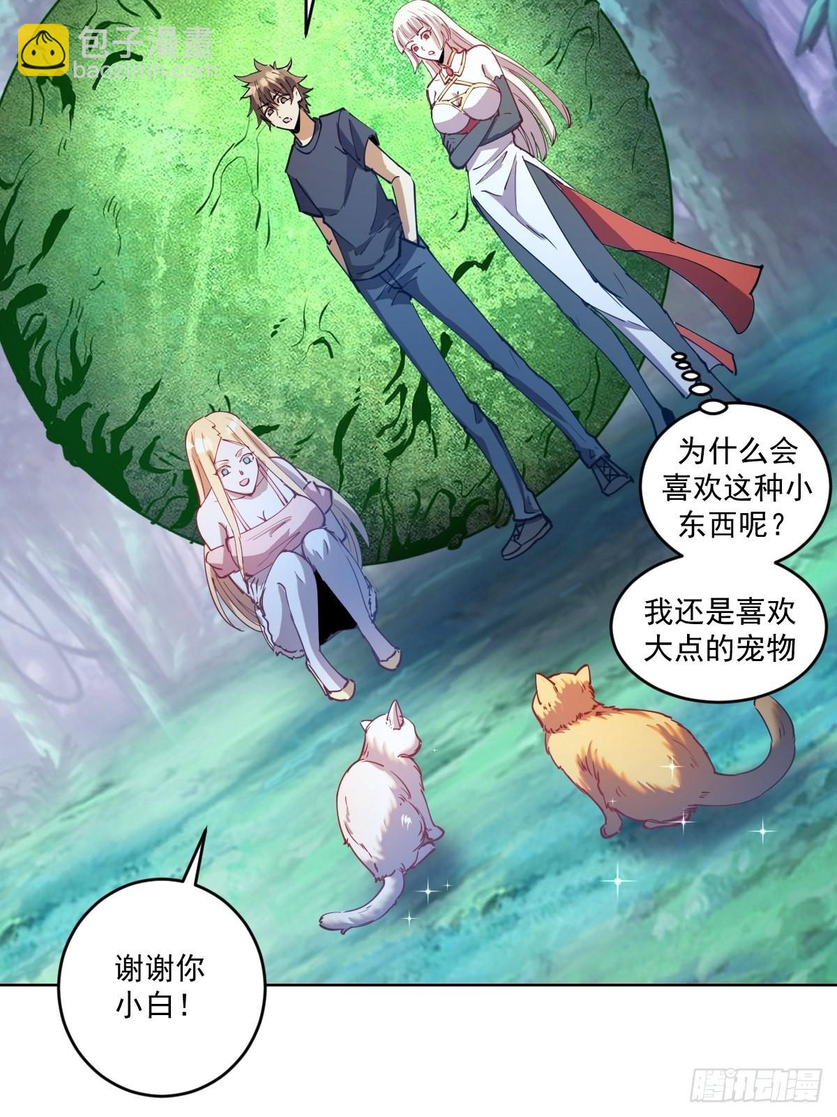第203话：双生猫妖34