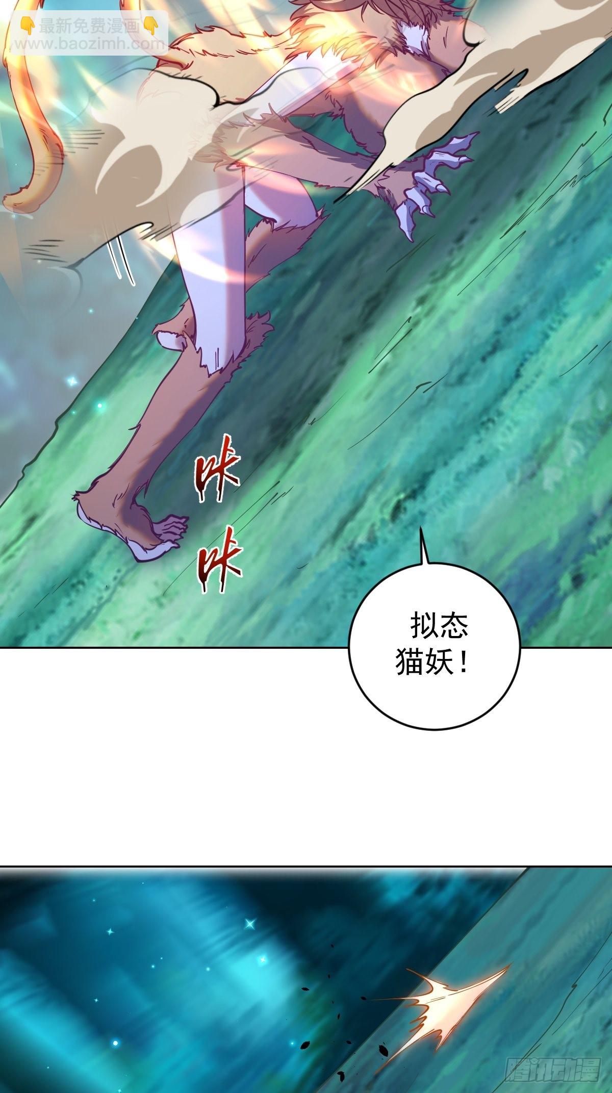 第203话：双生猫妖4