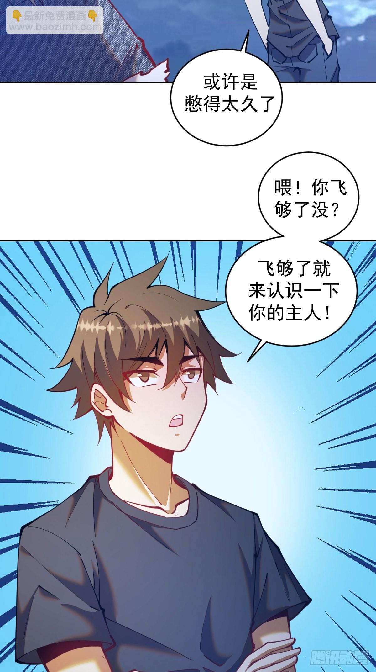 第204话：大鹏13