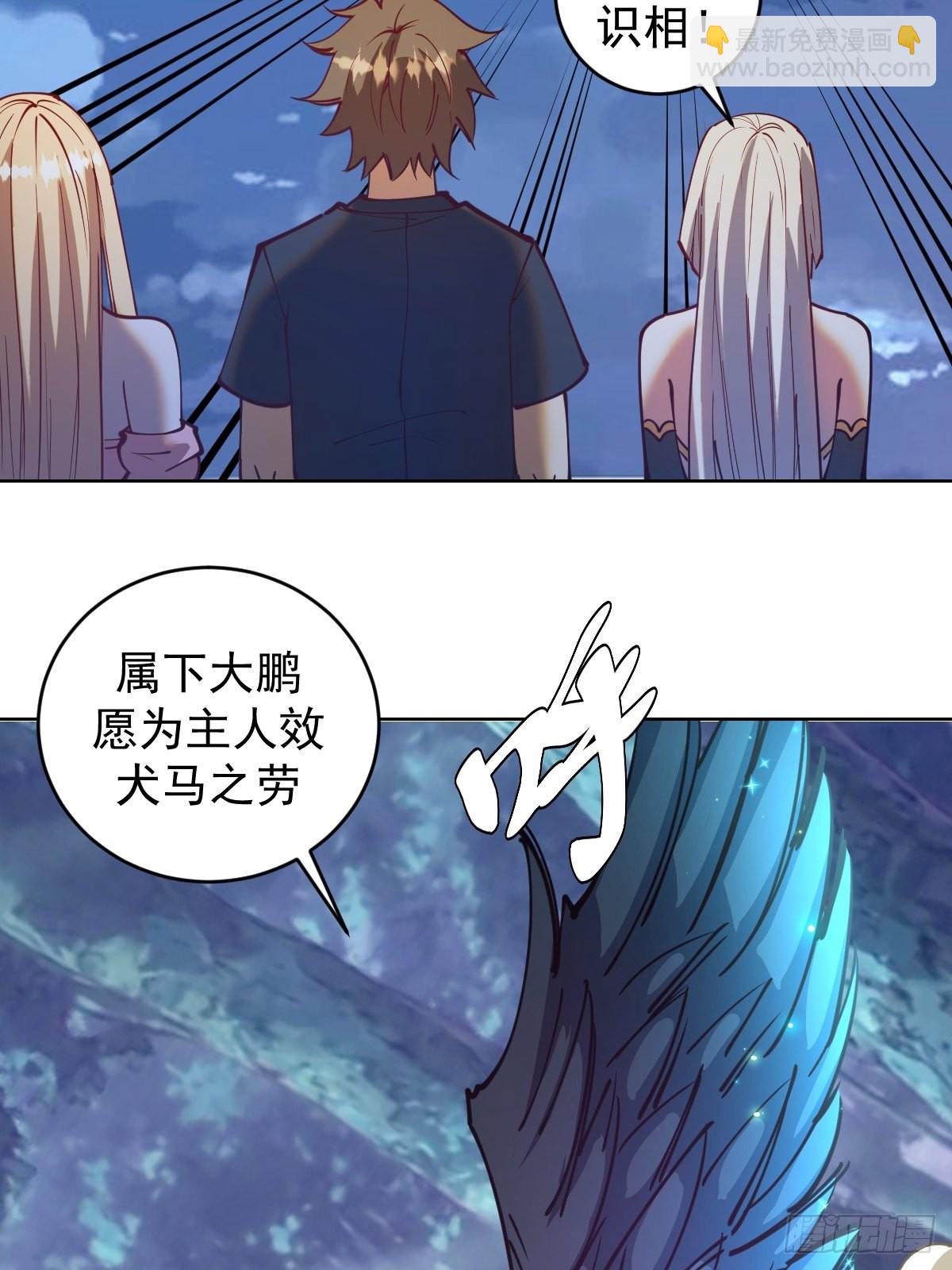 第204话：大鹏35