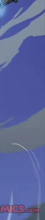 25137