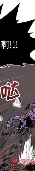 25494