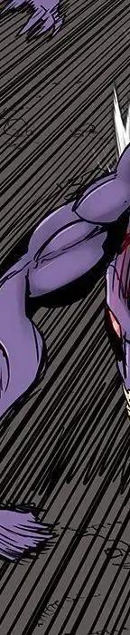 25497