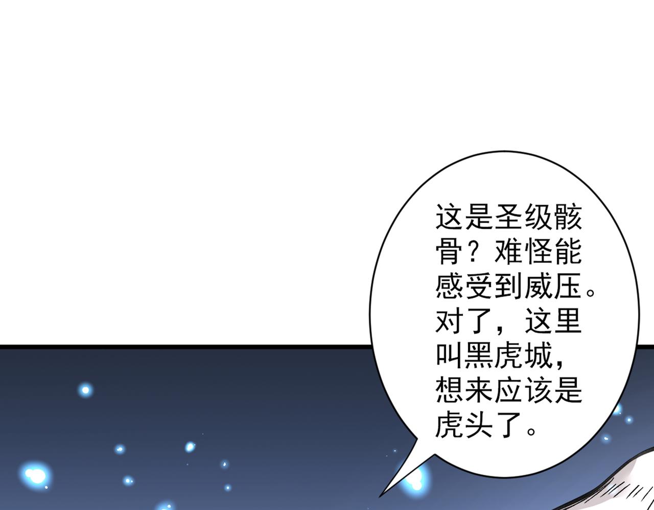 超凡境野猫！？60