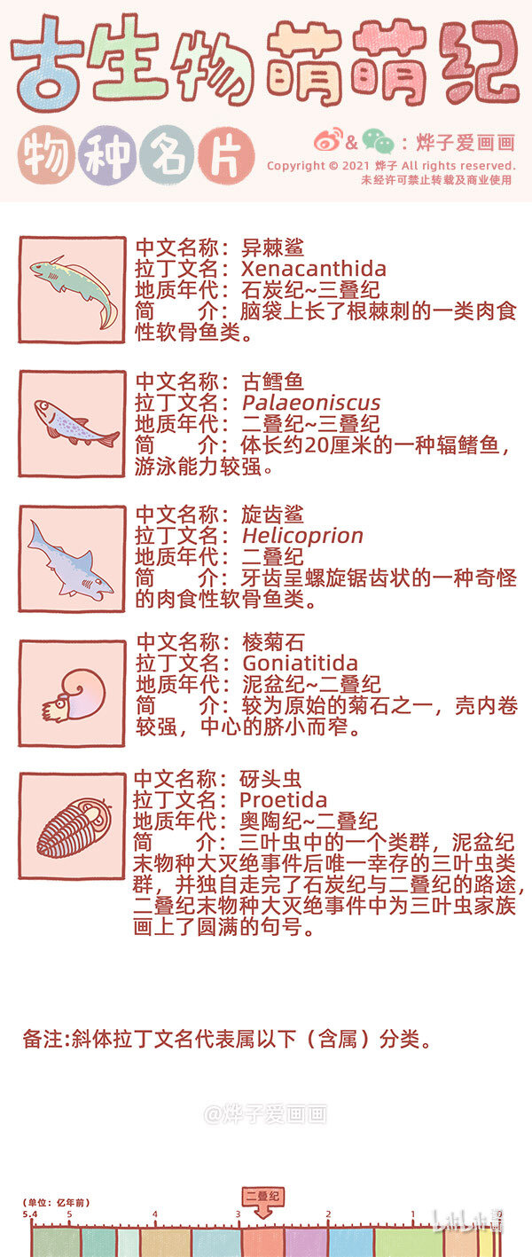 物种名片 二叠纪20