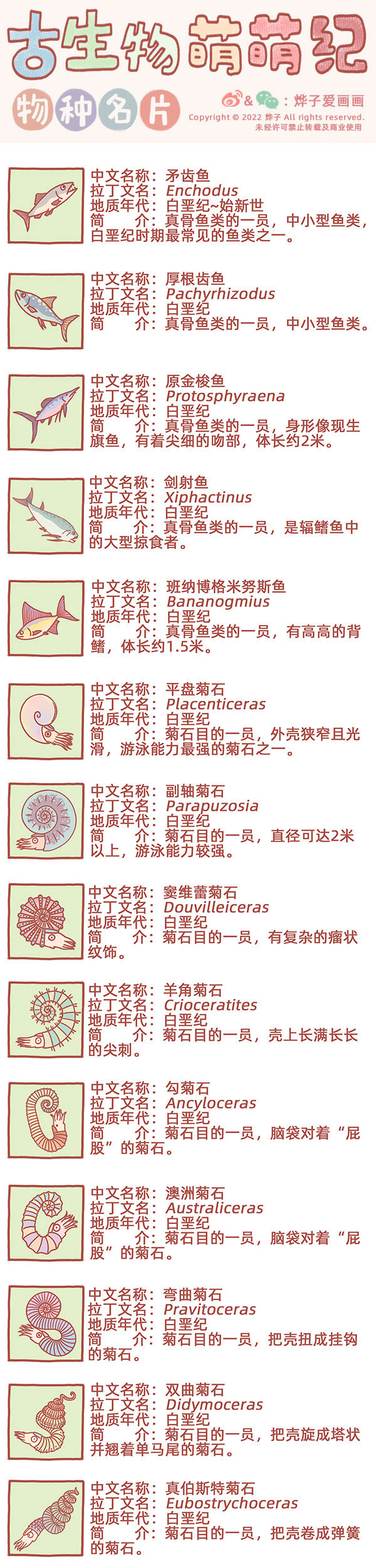 物种名片 白垩纪30
