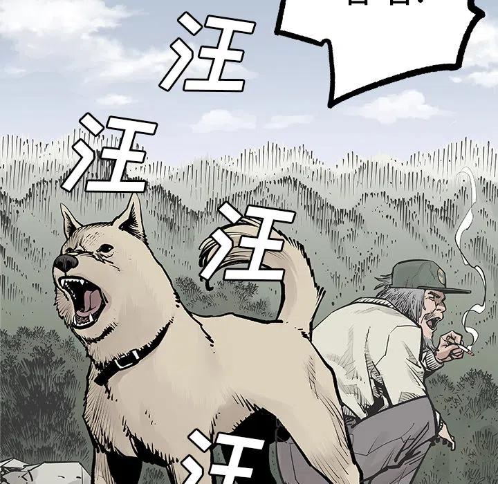 146