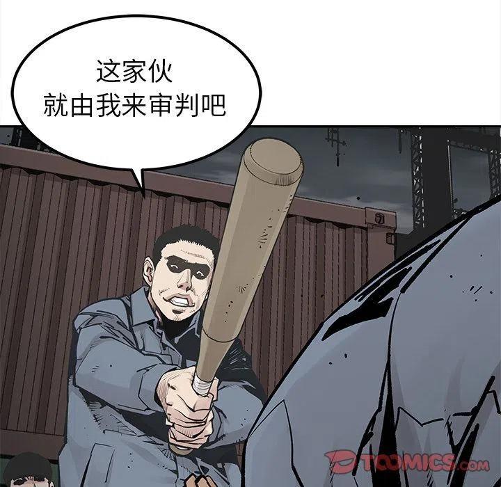 3981