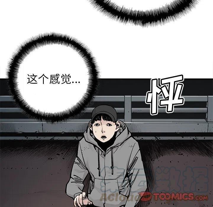 4067