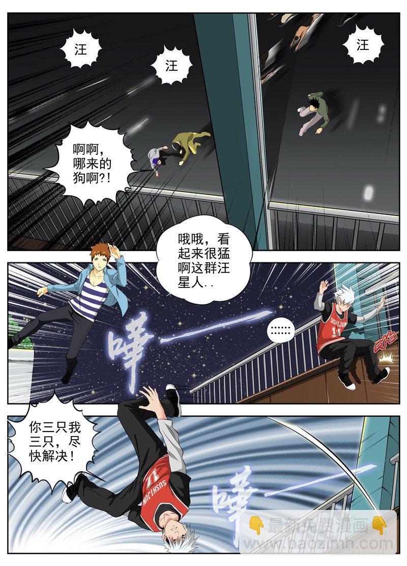 55.六条狗3