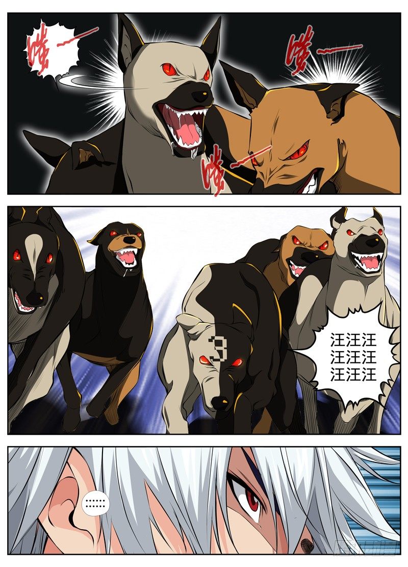 55.六条狗5