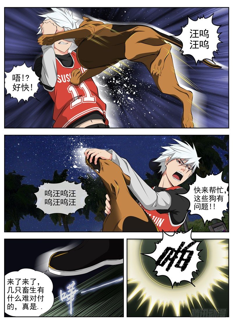 55.六条狗7