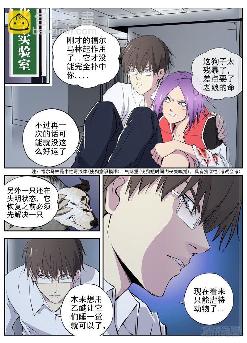 61.最后两只10