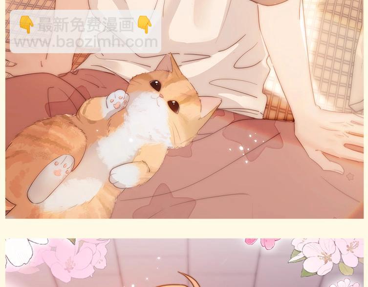 第3期   粉丝福利：高清无字壁纸4