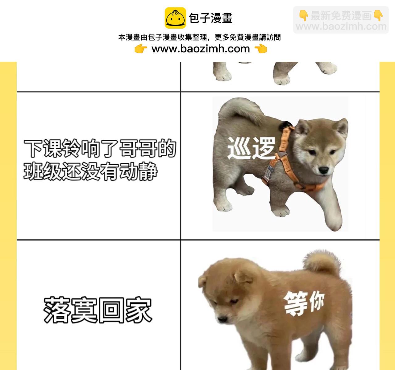 第32期 整活企划：来看一波烂梗~3