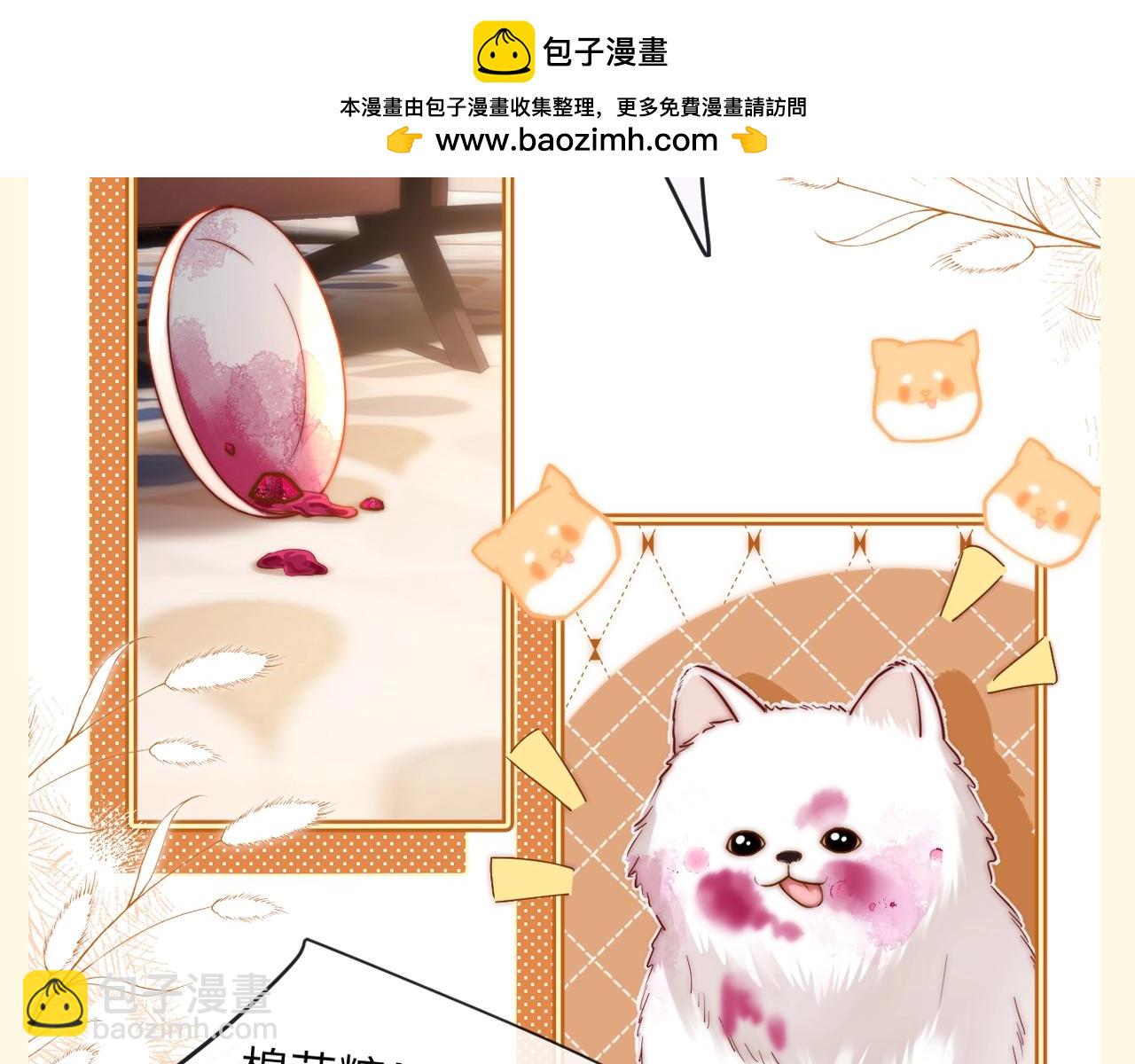 第89期 特别企划：乐乐的隐藏属性8