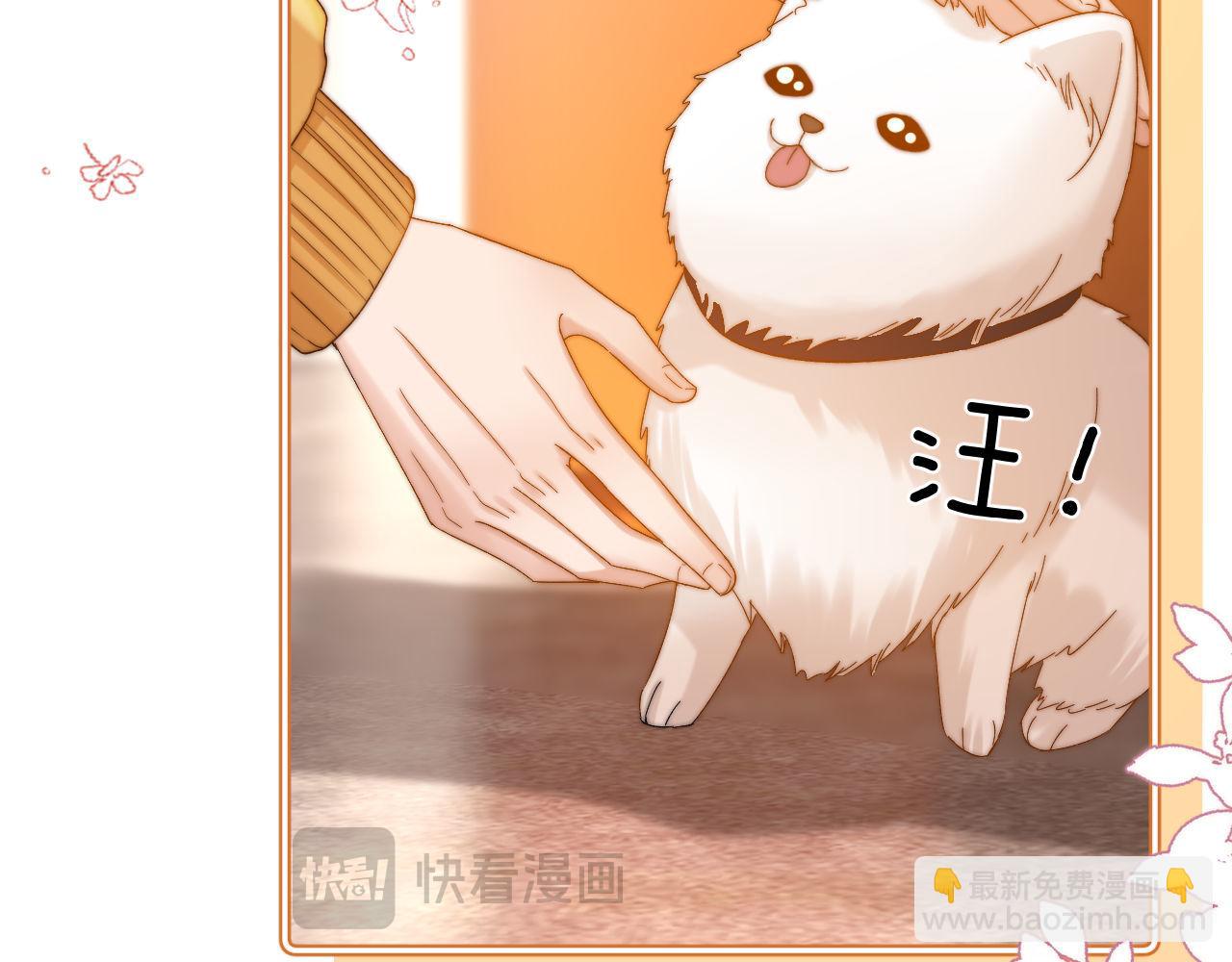 第49话 棉花糖走丢了？！35