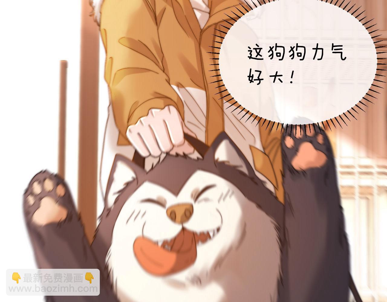 第49话 棉花糖走丢了？！37