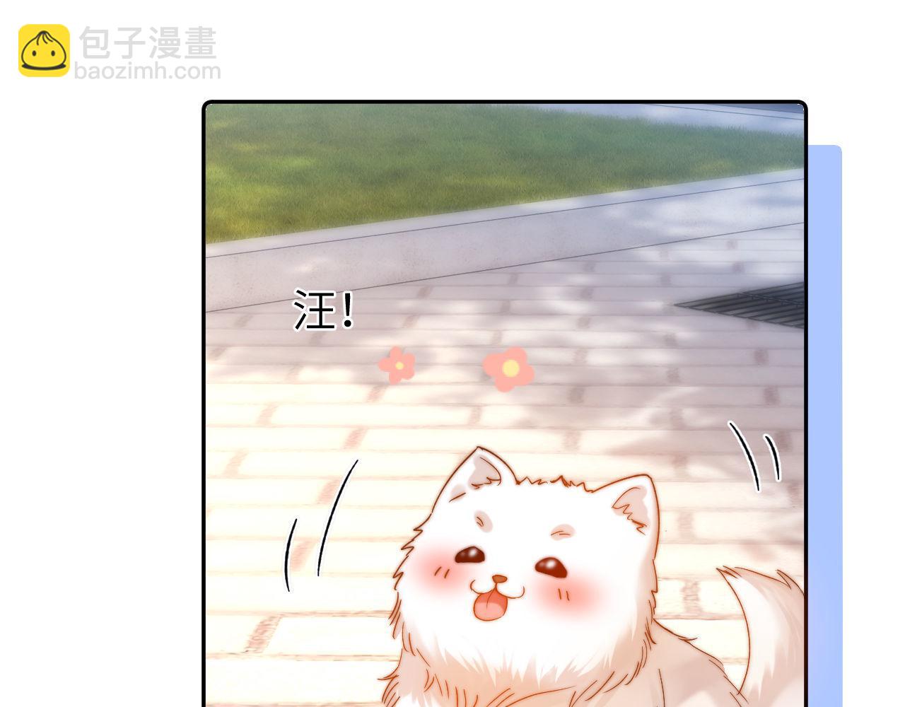 第49话 棉花糖走丢了？！69
