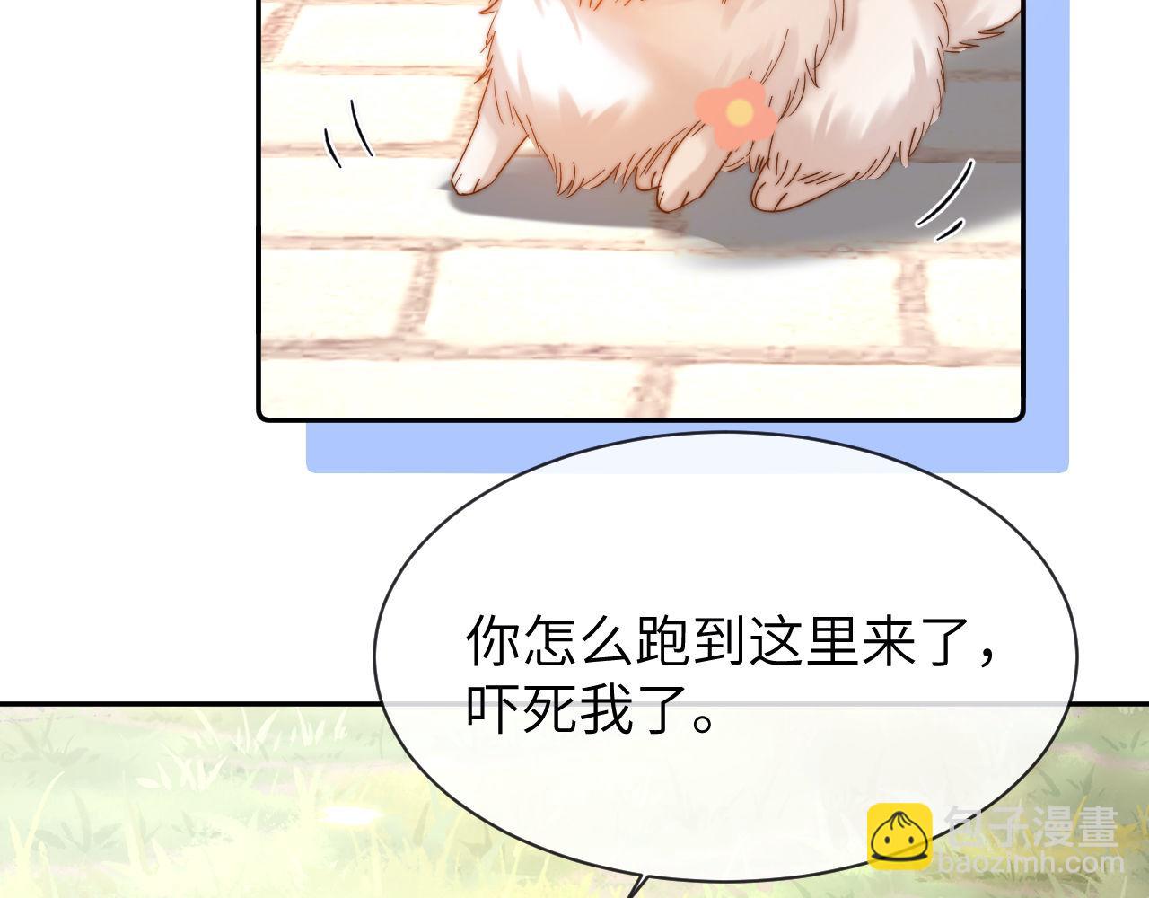 第49话 棉花糖走丢了？！70