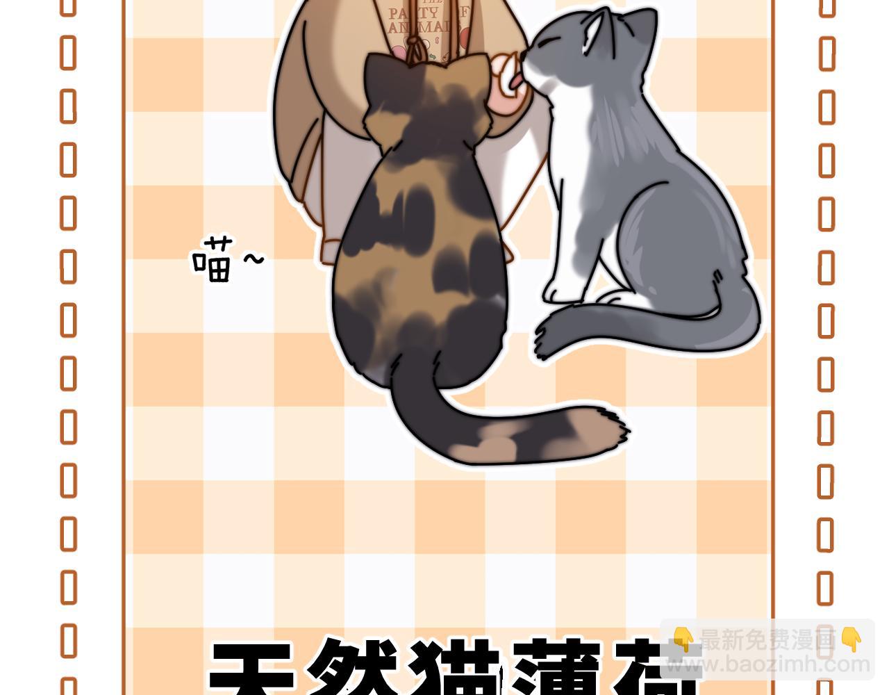第61话 无法直白展示情感11