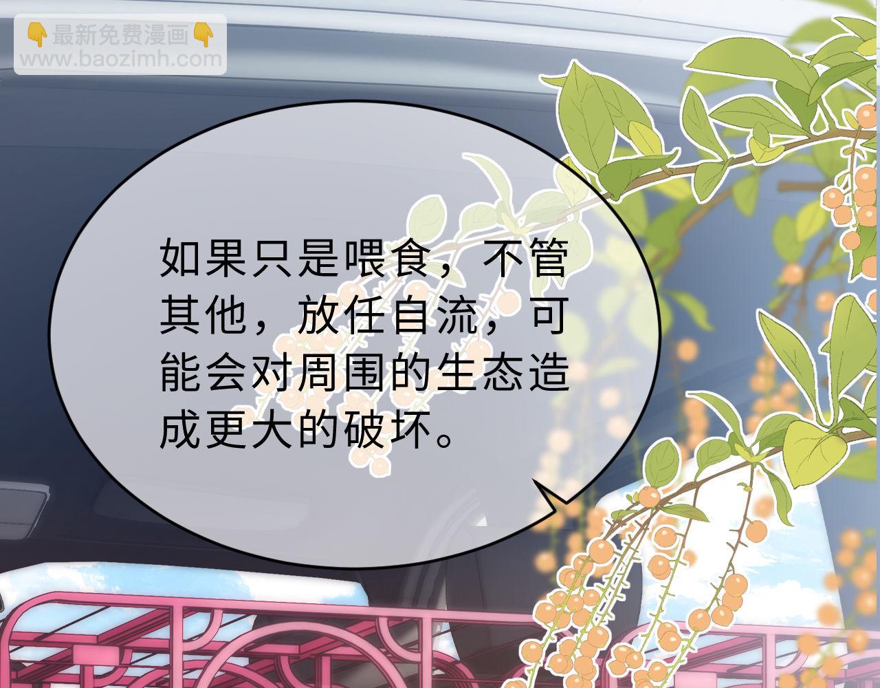 第61话 无法直白展示情感37