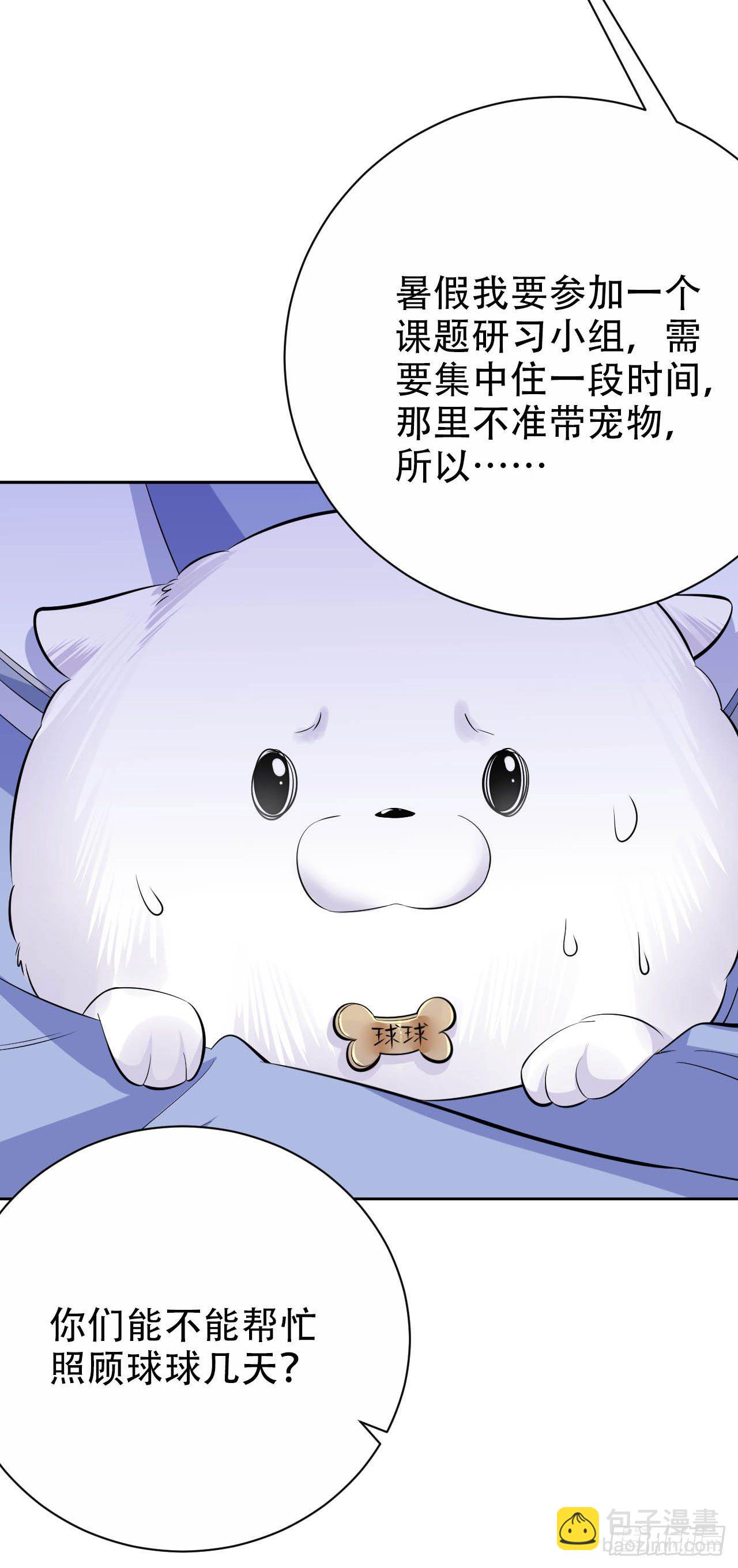 26.宠物终结者11